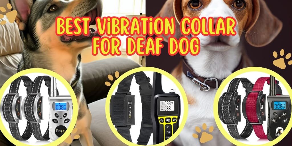 Best Vibration Collar for Deaf Dog